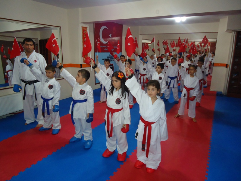 �rnek Resim